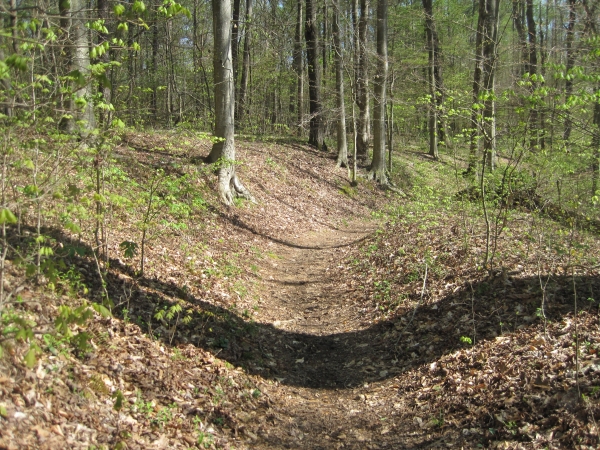 Holston Road in Sumner County