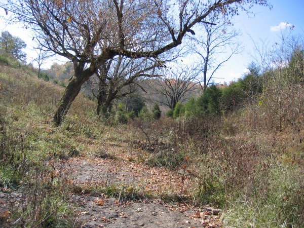 Holston Road in Smith County