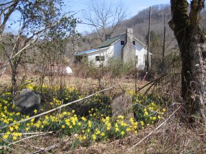 Pioneer Cabin site on Holston Road in Smith County